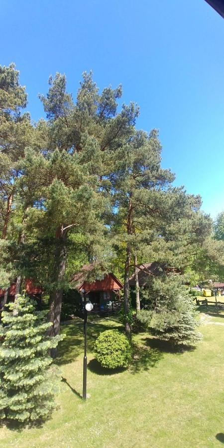 Domki Letniskowe Baltyk Leba Exterior foto